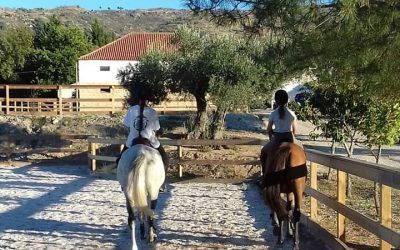 Quinta do Pinheiro