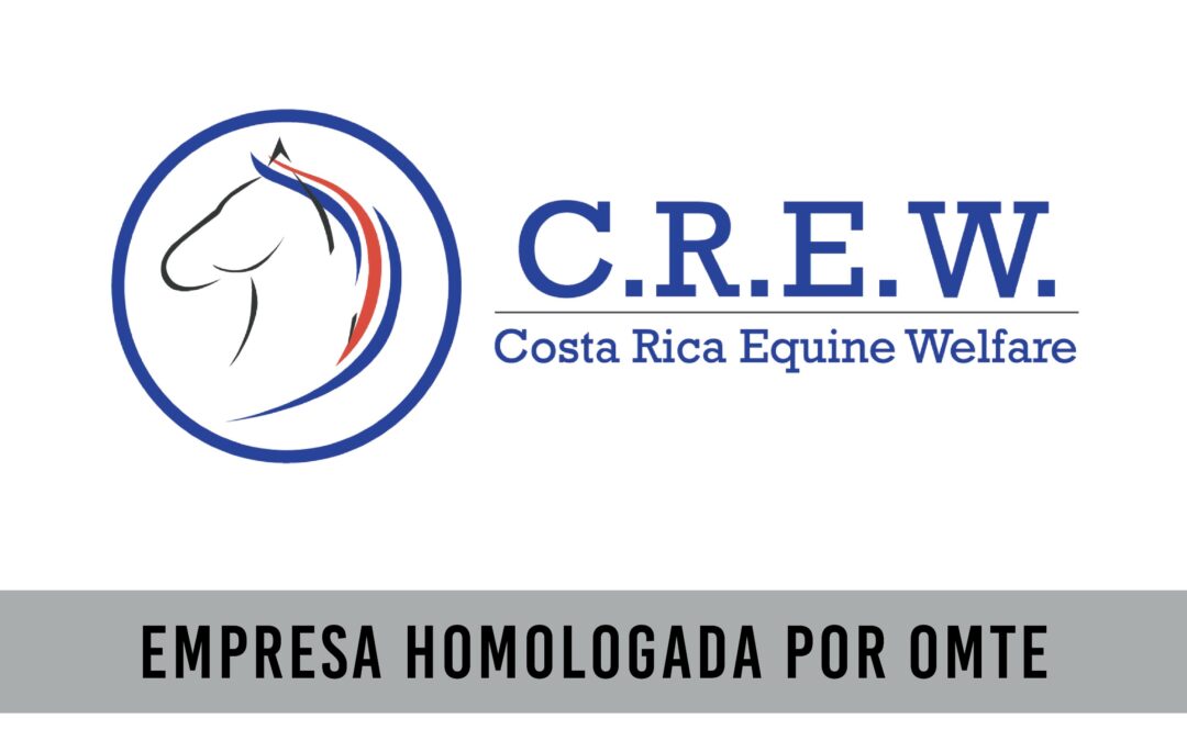 Costa Rica Equine Welfare
